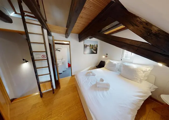 公寓 Spacious Duplex Center