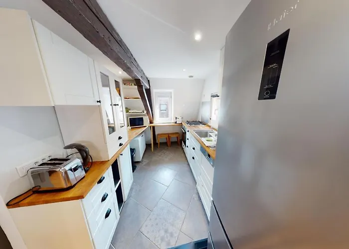 Spacious Duplex Center * 斯特拉斯堡