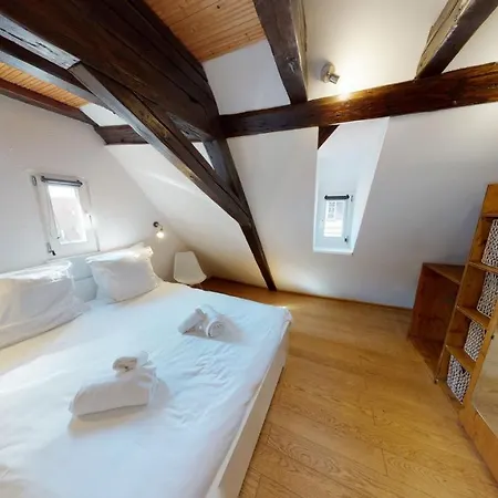 Spacious Duplex Center Štrasburk
