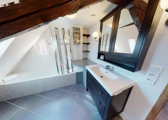 Spacious Duplex Center * שטרסבורג